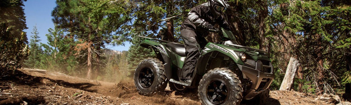2018-Kawasaki Brute Force® 750 4x4i for sale in Destination Powersports, Punta Gorda, Florida